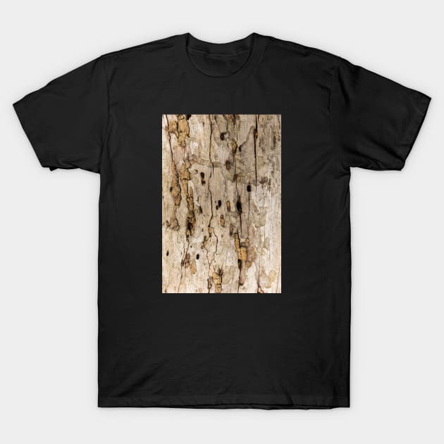 Termite Wooden Surface T-Shirt by textural